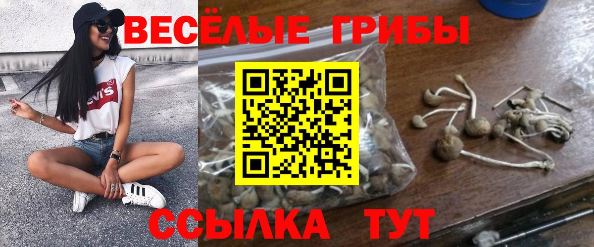 Галлюциногенные грибы прущие грибы Назарово